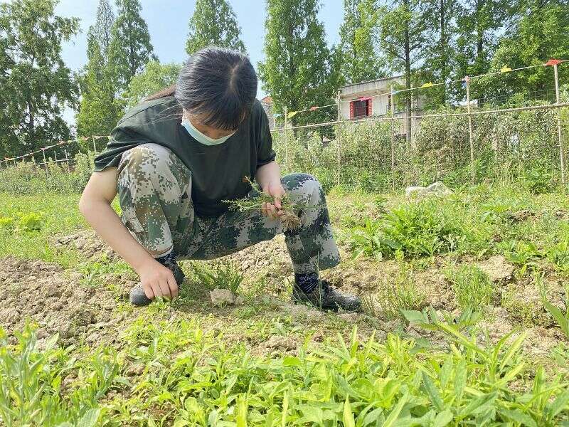 安徽池州有没有不听话学生特训学校(图1)